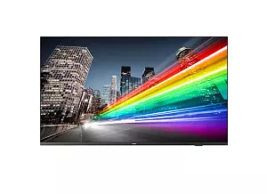 Профессиональный телевизор Philips 65BFL2214/12 